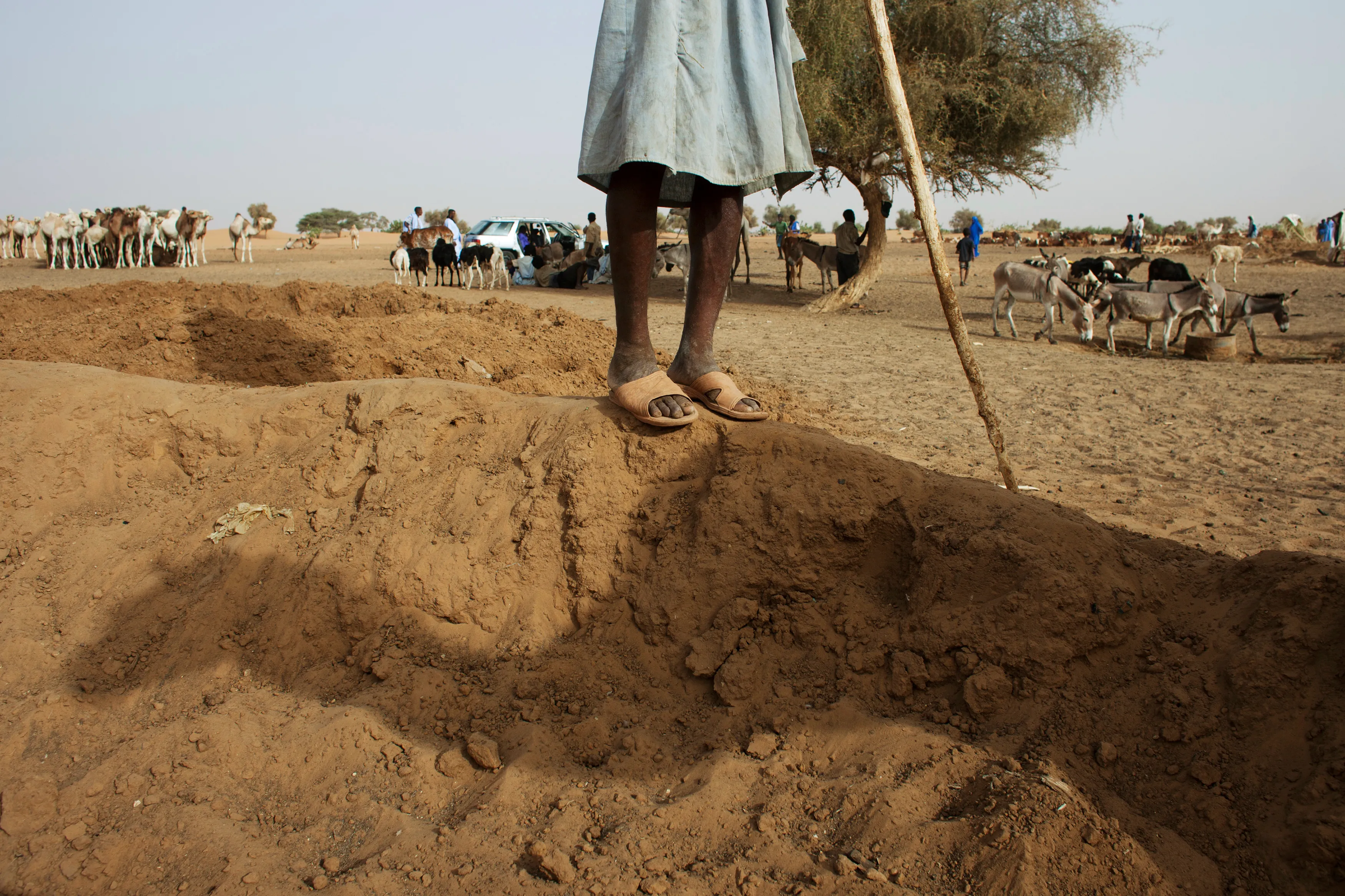 Climate change in the Sahel: How can cash transfers help protect the poor? - Brookings Institution