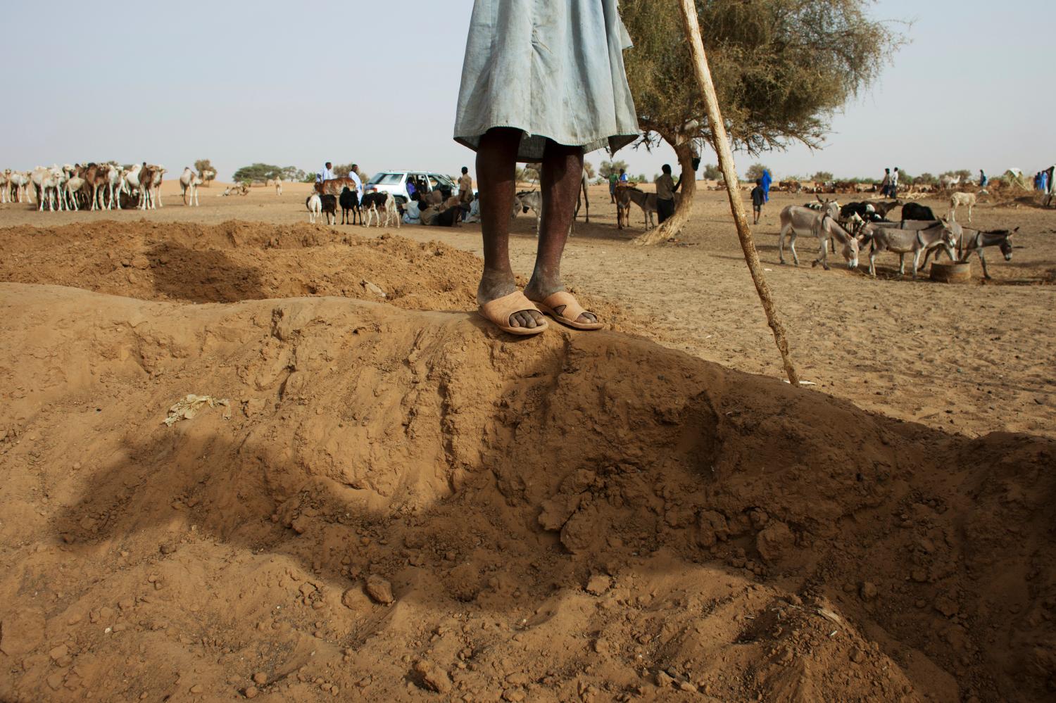 A camel casts a shadow next to its herder at a watering hole outside the town of Aleg, Mauritania, May 25, 2012. REUTERS/Joe Penney (MAURITANIA - Tags: ANIMALS SOCIETY) - GM1E85Q0MGN01