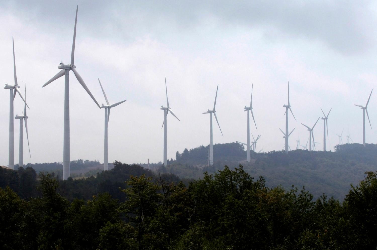 Power-generating windmill turbines form a wind farm on Backbone Mountain near Thomas, West Virginia August 28, 2006. While growth in ethanol use as an alternative fuel has had a big impact on rural America, wind power has also been growing steadily for the past three years, with wind farms like this one springing up all over the windy expanse of the Great Plains and beyond.   To match feature ENVIRONMENT-USA/WIND.   REUTERS/Jonathan Ernst   (UNITED STATES) REUTERS - GM1E45J1K9401