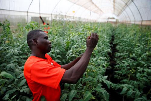 A man works inside the next generation greenhouse farm in Ikorodu on the outskirt of Nigeria's commercial capital Lagos, Nigeria, May 11, 2017. REUTERS/Akintunde Akinleye