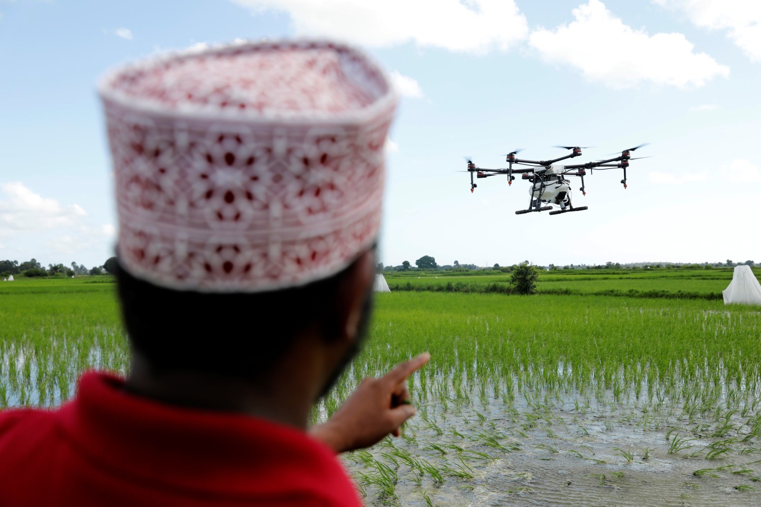 Drone pilot watches a customized DJI Agras MG-1S drone fly over a rice field during a training flight being part of a test in using drone technology in the fight against malaria, near Zanzibar City, on the island of Zanzibar, Tanzania, October 31, 2019. Picture taken October 31, 2019. REUTERS/Baz Ratner - RC15BBAB1290