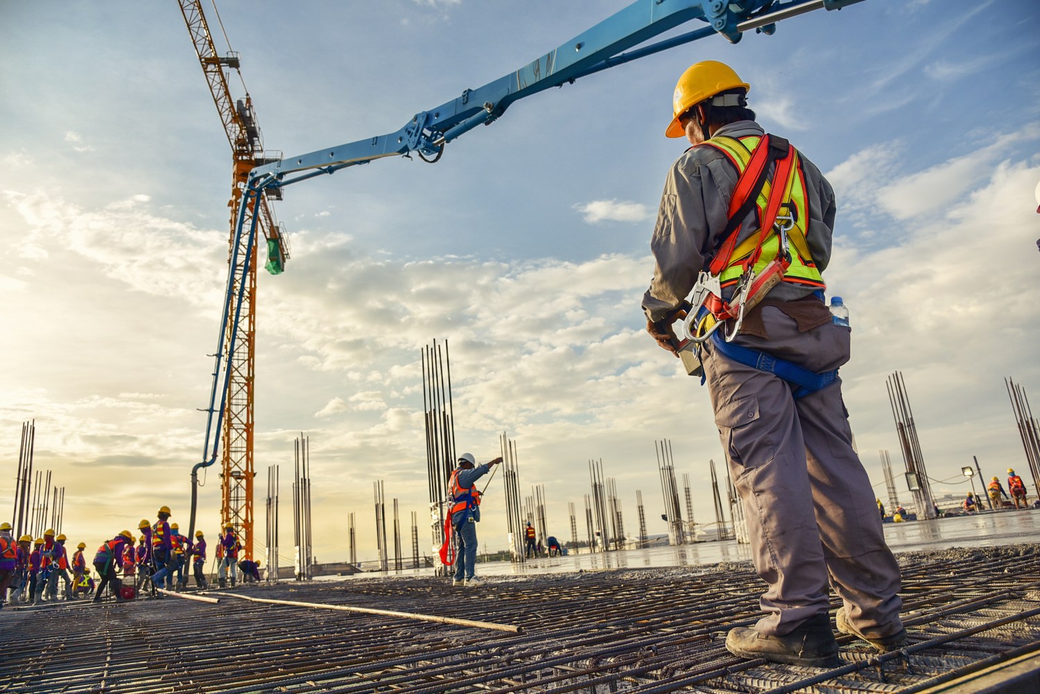 The evolution of technological substitution in low-wage labor markets ...