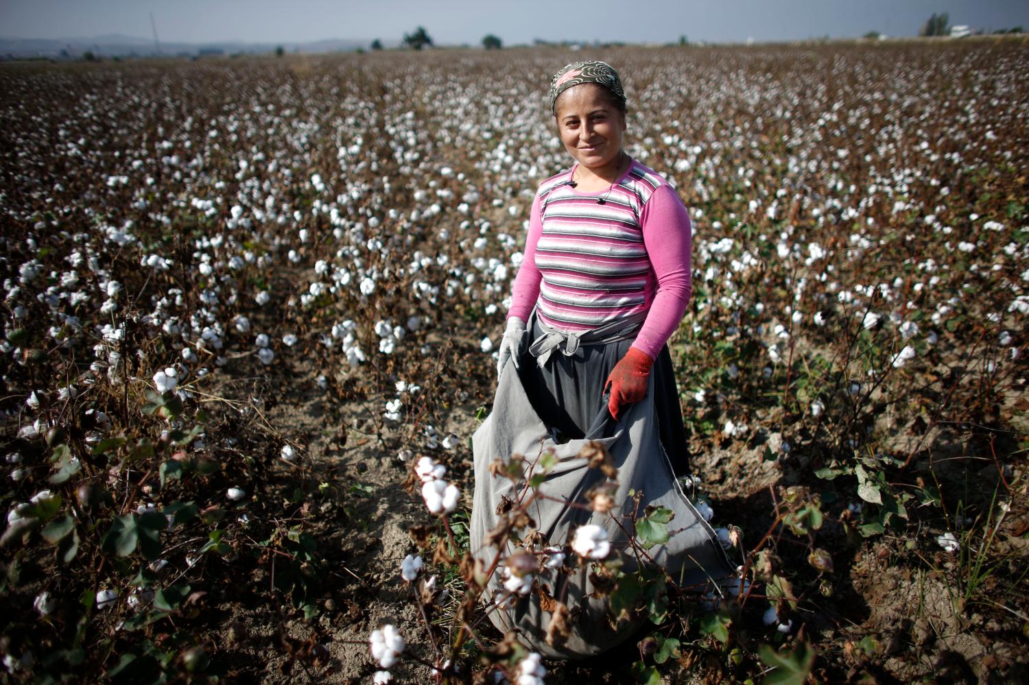 Turkish villager Sibel is pictured as she works in a cotton field near the border town of Reyhanli on the Turkish-Syrian border, in Hatay province, November 4, 2012. Despite the conflict on the Syrian side of the border, cotton harvest is still underway in Turkey's southern border province of Hatay. During early October, the Turkish military launched a retaliatory strike on Syria after a mortar bomb fired from Syrian soil landed in the countryside in Hatay. Some Syrian refugees work at cotton fields together with Turkish villagers in the border region as cottons pickers.  REUTERS/Murad Sezer (TURKEY - Tags: AGRICULTURE POLITICS)