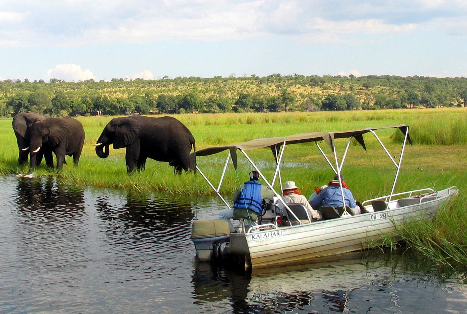 Foreign tourists in safari riverboats observe elephants along the Chobe river bank near Botswana's northern border where Zimbabwe, Zambia and Namibia meet, March 4, 2005. REUTERS/Peter Apps/File Photo