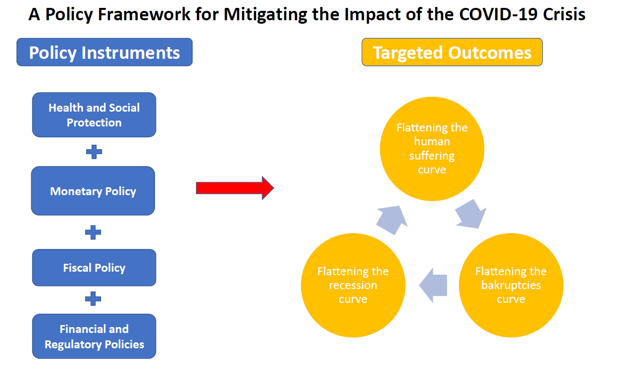 Political and economical crisis. A Framework political. Regulatory Framework Company. Arctic Policy Framework. Policy process