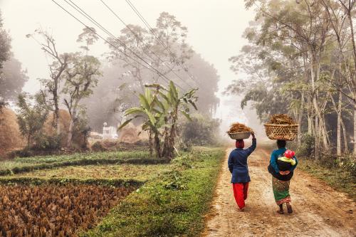 Foggy Rural Scene, Terai, Nepal