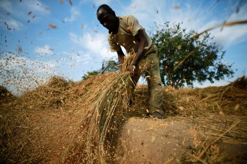 A farmer threshes rice sheaves at his farm in Benue, Nigeria December 3, 2019. Picture taken December 3, 2019. REUTERS/Afolabi Sotunde