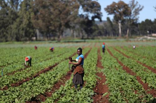 A worker holds a hoe as they remove weed at a farm amid the spread of the coronavirus disease (COVID-19), in Eikenhof, South Africa, April 16, 2020. Picture taken April 16, 2020. REUTERS/Siphiwe Sibeko