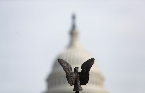 A view shows the dome of the U.S. Capitol building behind a bronze eagle in Washington, U.S., November 15, 2019. REUTERS/Yara Nardi