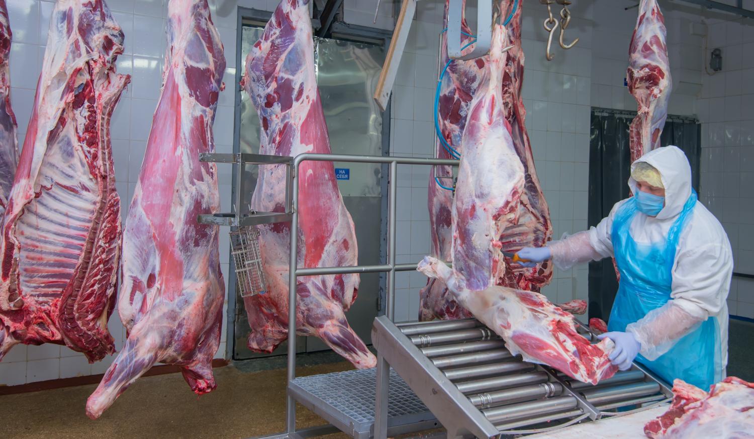 Man working in beef packaging facility