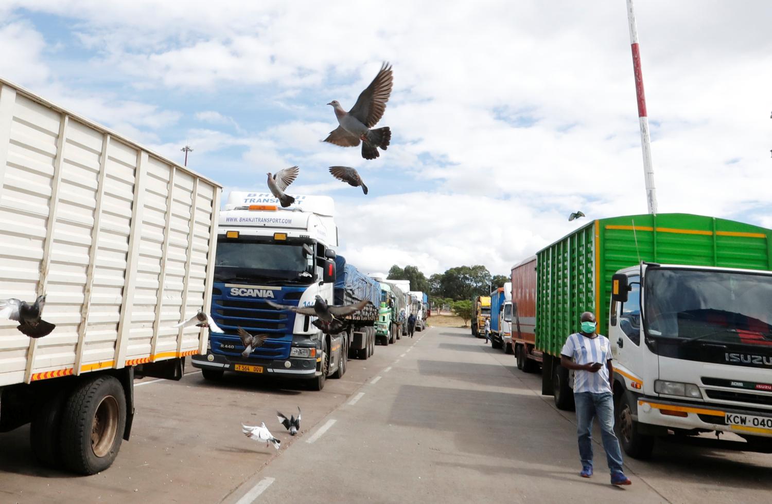 Pigeons fly past parked trucks at the Namanga one stop border crossing point between Kenya and Tanzania, amid the coronavirus disease (COVID-19) outbreak, in Namanga, Kenya May 12, 2020. REUTERS/Thomas Mukoya
