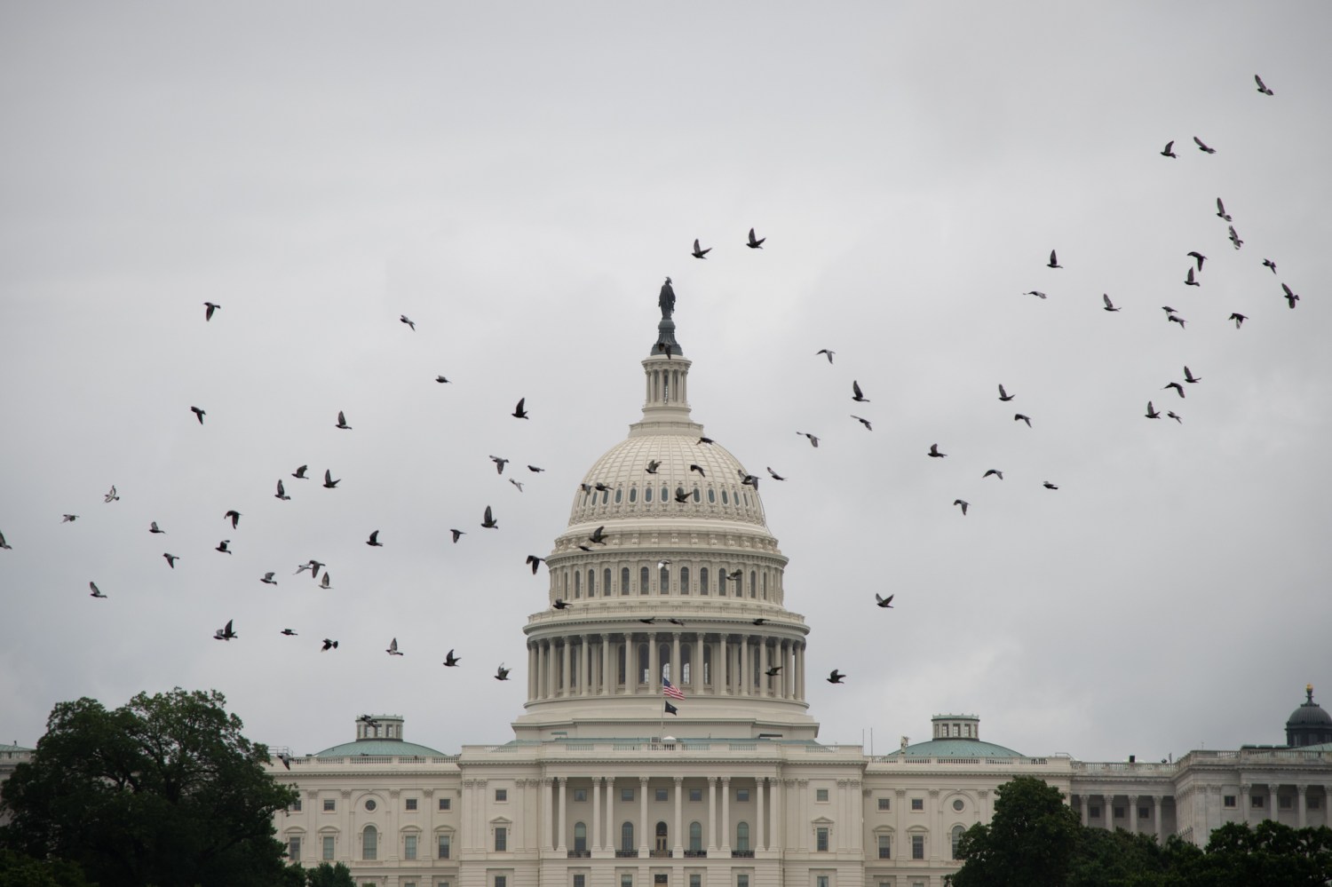 A general view of the U.S. Capitol Building on a rainy day in Washington, D.C., on August 16, 2020 amid the Coronavirus pandemic. Today, as President Trump has to discredit mail-in voting, the House Oversight Committee announced an emergency hearing and invited recent Trump appointee, and Republican megadonor, Postmaster General Louis DeJoy to testify about ongoing problems with mail delivery ahead of the 2020 elections. (Graeme Sloan/Sipa USA)No Use UK. No Use Germany.