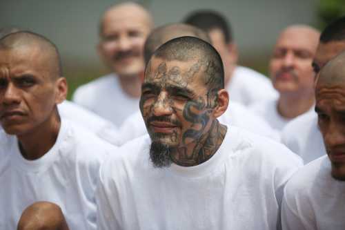 Mara Salvatrucha (MS-13) gang members wait to be escorted upon their arrival at the maximum-security jail in Zacatecoluca, El Salvador, June 22, 2017. REUTERS/Jose Cabezas