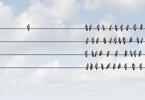 birds on telephone wire