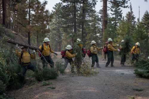 Firefighters from Mexico and Honduras cut and move branches in the Fremont National Forest while prepping the fire line ahead of the Brattain Fire in the outskirts of Paisley, Oregon, U.S., September 17, 2020. REUTERS/Adrees Latif
