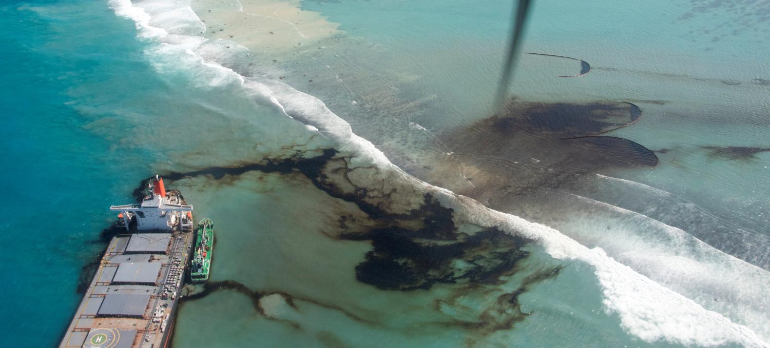 FILE PHOTO: A general view shows the bulk carrier ship MV Wakashio, that ran aground on a reef, at Riviere des Creoles, Mauritius, in this handout image obtained by Reuters on August 11, 2020. French Army command/Handout via REUTERS THIS IMAGE HAS BEEN SUPPLIED BY A THIRD PARTY/File Photo