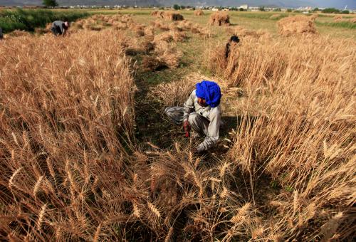 A farmer harvests wheat at a field on the outskirts of Islamabad, Pakistan April 26, 2017. REUTERS/Faisal Mahmood