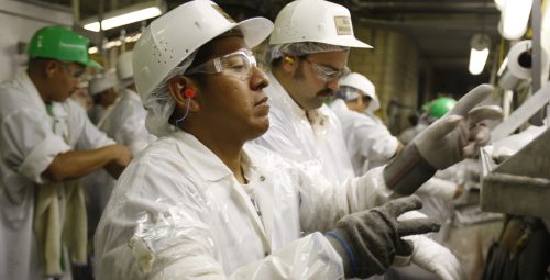 Workers put on protective clothing as they return from a break at the West Liberty Foods processing plant in West Liberty, Iowa July 7, 2011. Most of the workers in the plant are Latinos who have made the town of West Liberty the first hispanic majority town in Iowa. Voters in the Iowa caucus and the New Hampshire primary will be the first to cast ballots in the upcoming U.S. Presidential race. REUTERS/Jessica Rinaldi (UNITED STATES - Tags: POLITICS SOCIETY EMPLOYMENT BUSINESS)