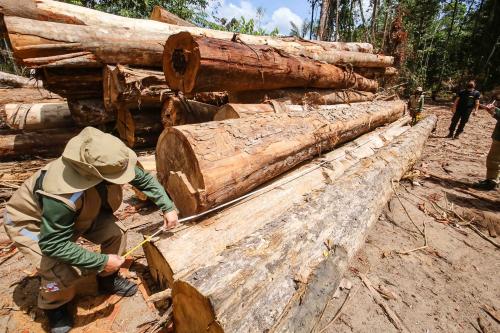 Pará, Brazil.- Armed forces seize property in Moju after flagrant deforestation in Pará, Brazil on October 27, 2020. The Vice President of Brazil, Hamilton Mourao, announced this Monday (26) that the Government will extend the operation of the Armed Forces destined to fight environmental crimes in the Amazon until April 2021, against deforestation and forest fires.