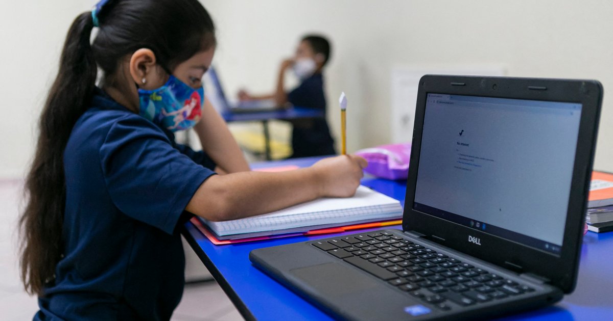 What has COVID-19 taught us about the digital and opportunity divides ...