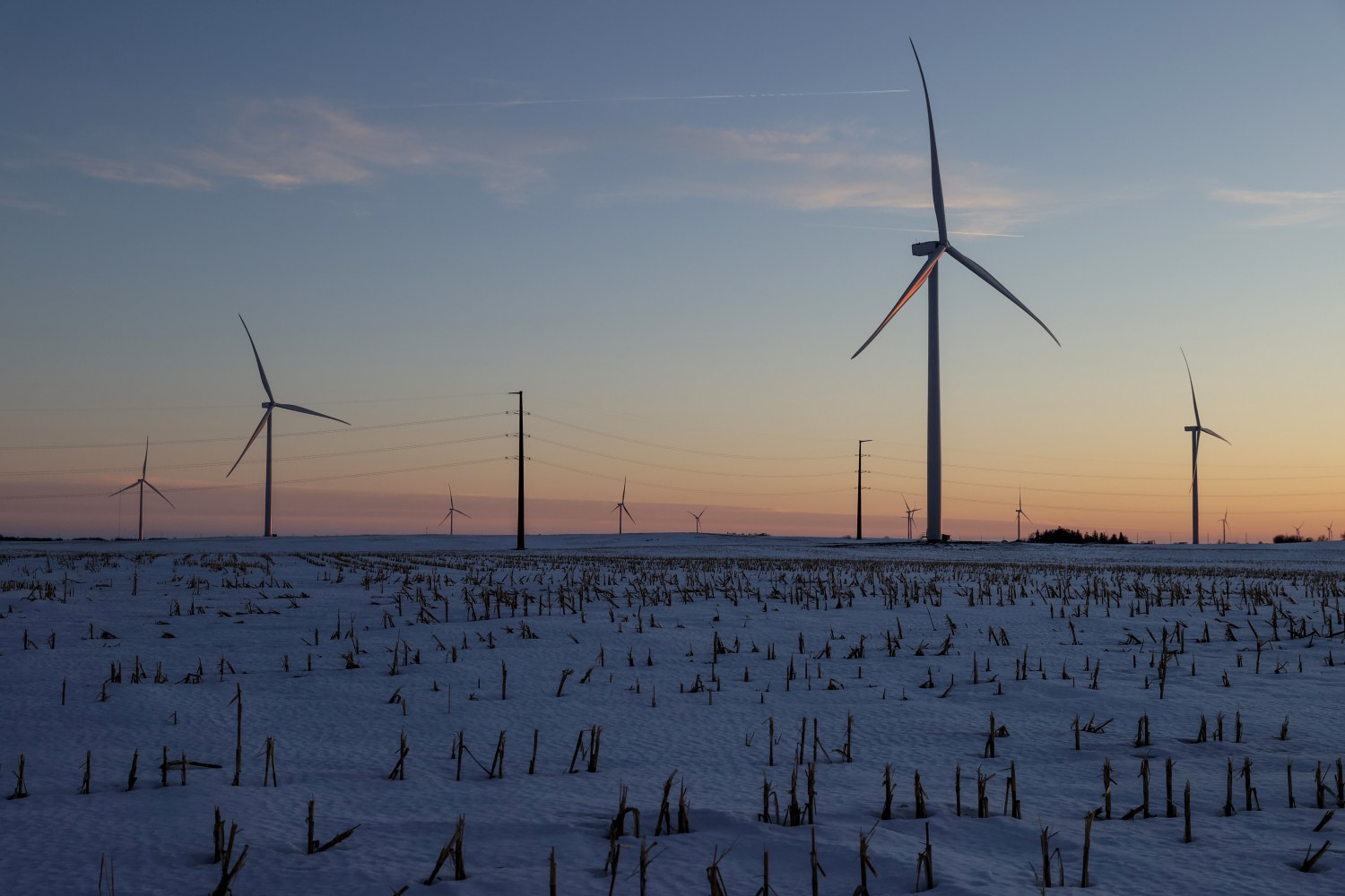 FILE PHOTO: A wind farm shares space with corn fields the day before the Iowa caucuses, where agriculture and clean energy are key issues, in Latimer, Iowa, U.S. February 2, 2020. REUTERS/Jonathan Ernst/File Photo