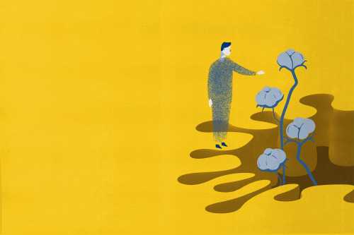 BLS20367_BRO_5_ALONE