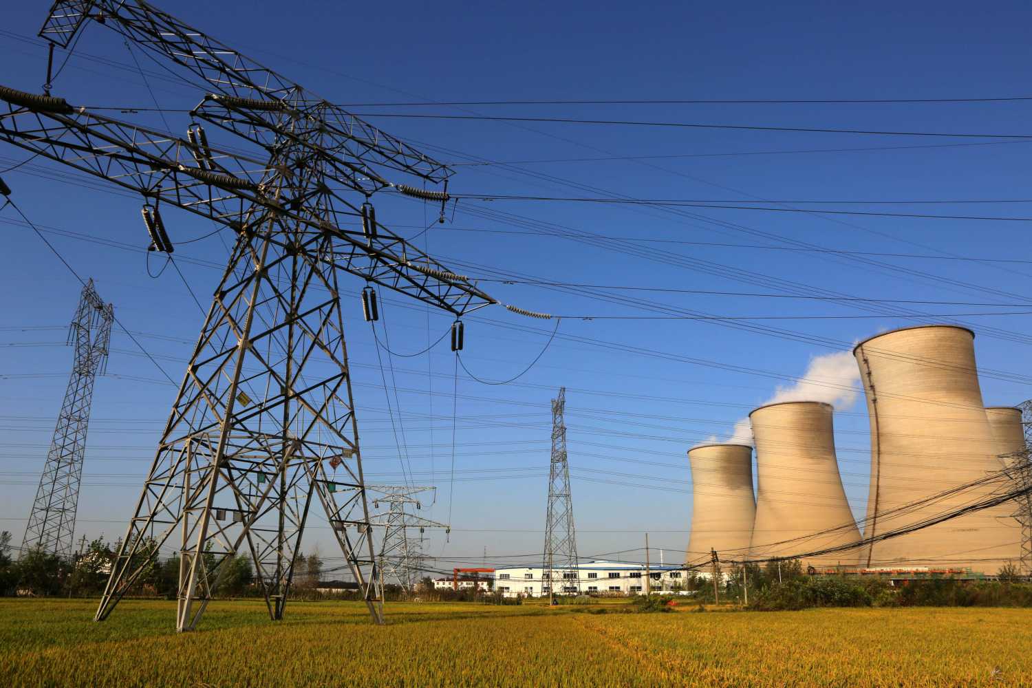 Steam discharged from cooling towers at a coal-fired power plant.