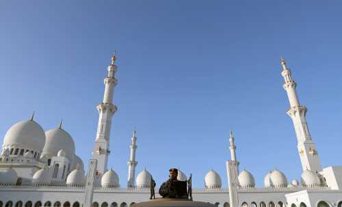 A member of the security forces guards during the arrival of Pope Francis at the Sheikh Zayed grand Mosque in Abu Dhabi, United Arab Emirates, February 4, 2019. REUTERS/Ahmed Jadallah
