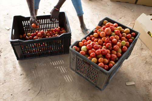 Seydou Sogoba prepares to weigh crates of tomatoes before they are sent to the market in Katibougou, Mali February 12, 2020. Picture taken February 12, 2020. REUTERS/Annie Risemberg