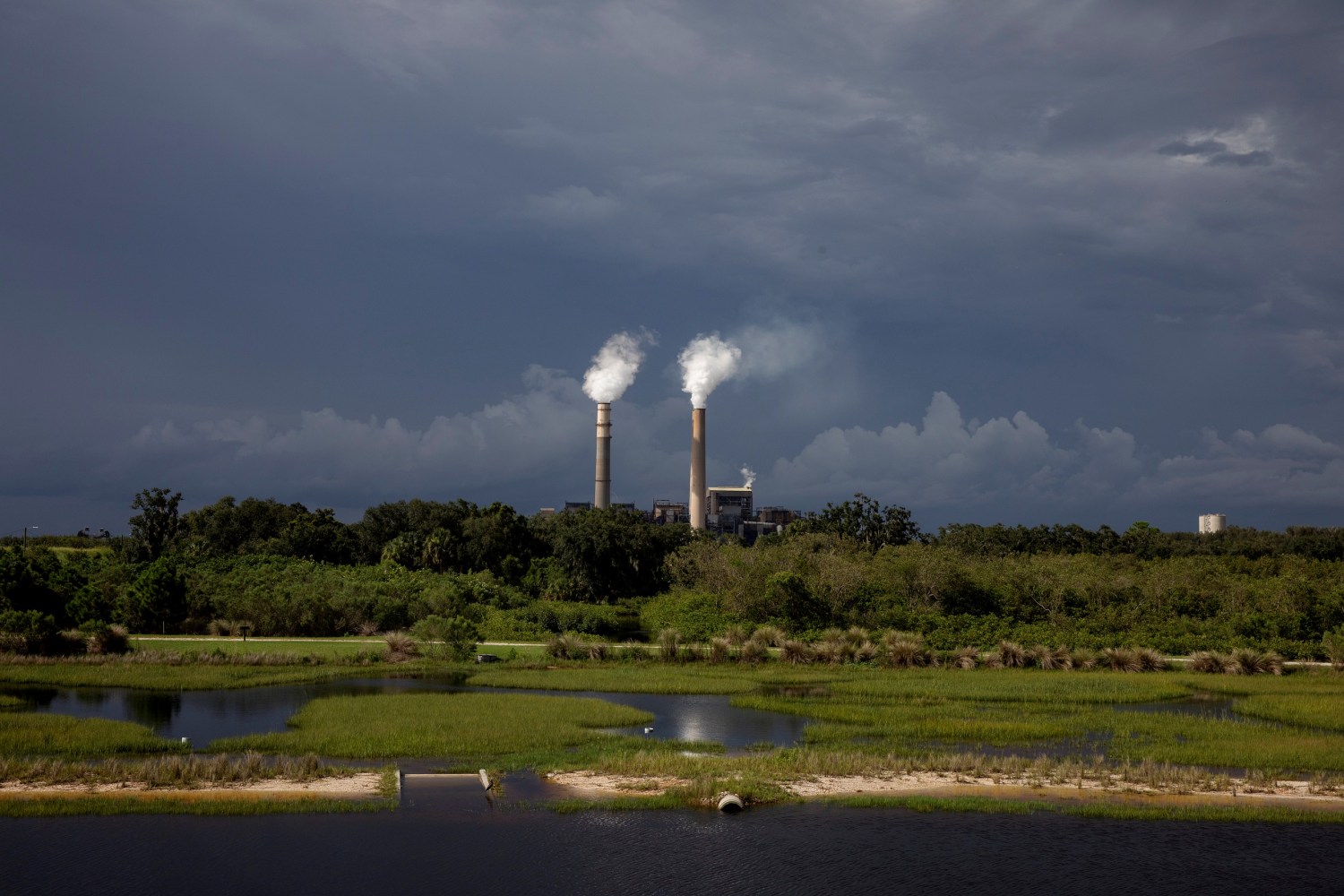 FILE PHOTO: Steam rises out of chimneys at the Big Bend Power Station owned and operated by Tech Energy in Apollo Beach, Florida U.S.,  August 14, 2019. REUTERS/Lucas Jackson/File Photo