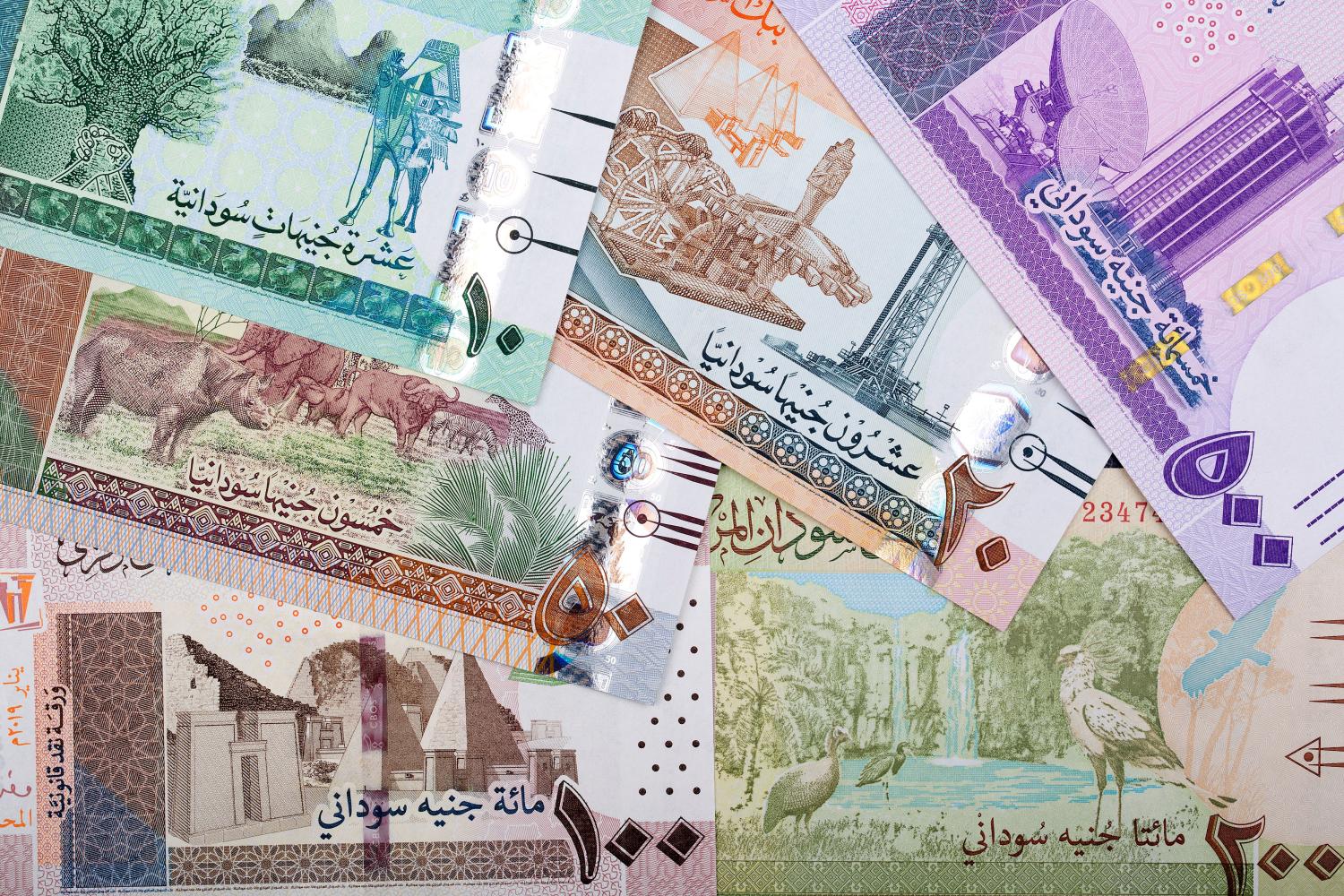 Sudanese pounds