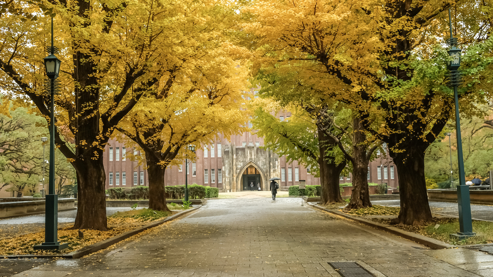 college campus in the fall