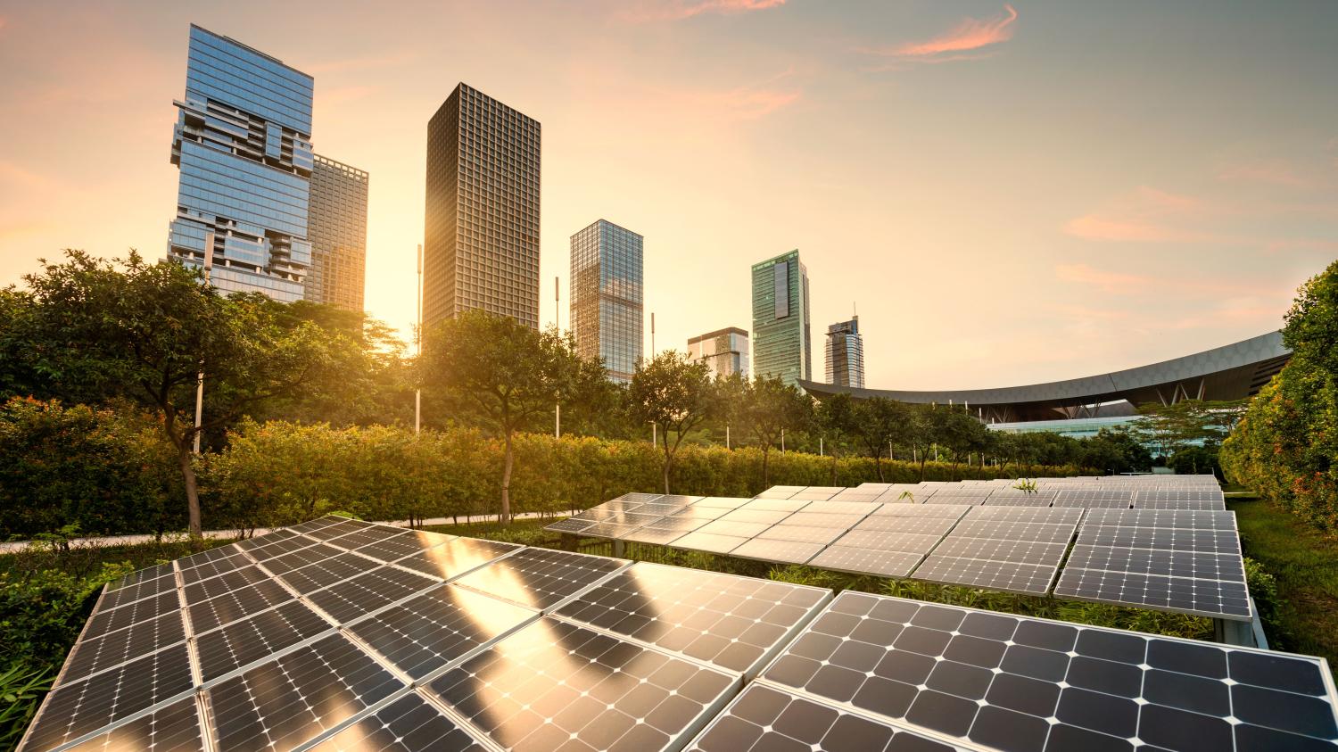 Solar panels with high rise buildings in the distance