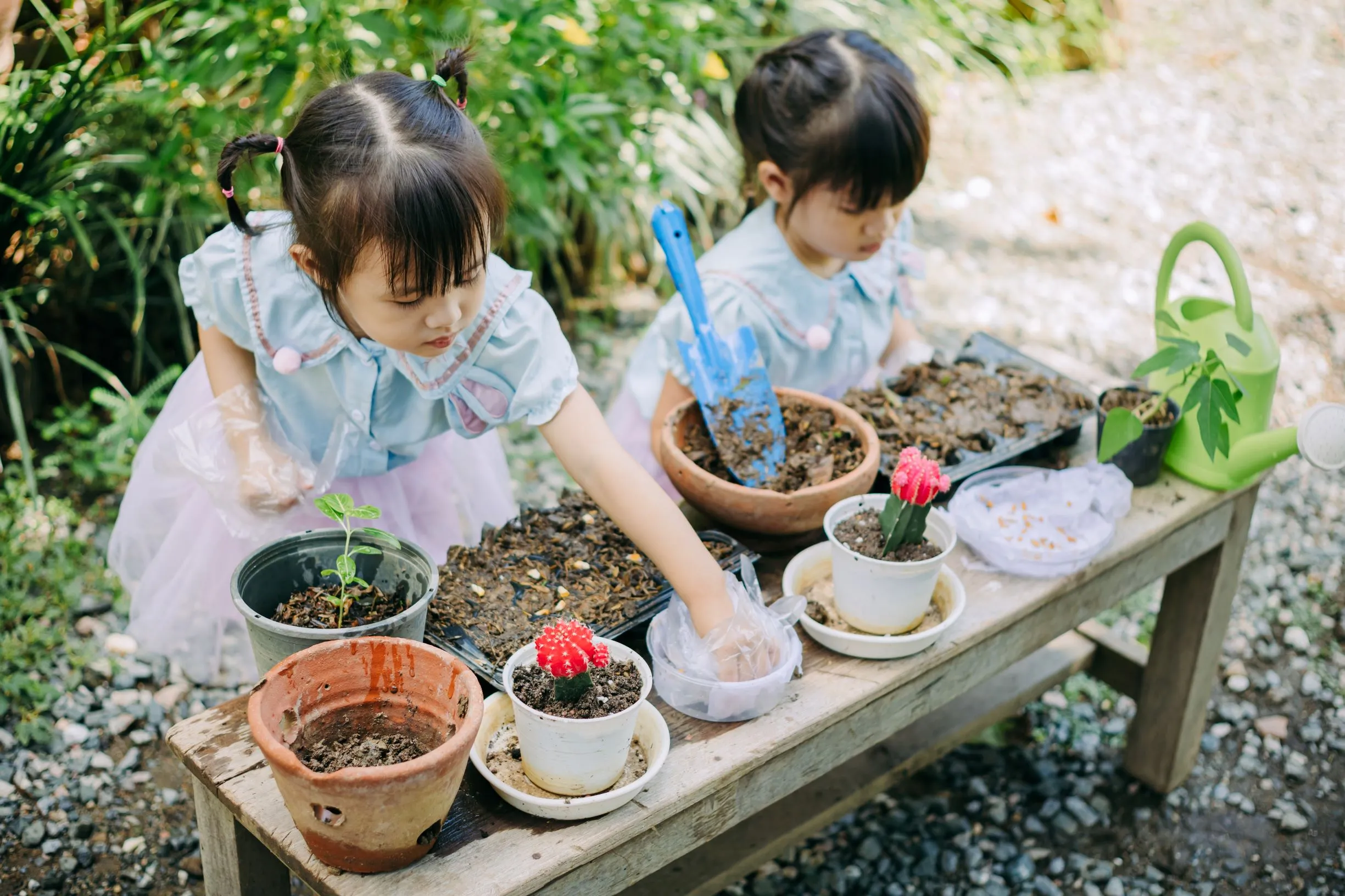 Unleashing the creativity of and students to combat climate change: An opportunity for global leadership