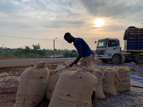 FILE PHOTO: A worker sews up cocoa bags to load them into a truck bound for the port of San Pedro, at a cocoa cooperative in Duekoue, Ivory Coast November 26, 2020. Picture taken November 26, 2020. REUTERS/Ange Aboa/File Photo