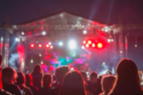 Crowd of people at a concert