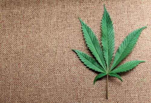 A marijuana leaf is displayed at Canna Pi medical marijuana dispensary in Seattle, Washington, November 27, 2012. Washington State's Initiative 502, that was approved by voters in the November 6, 2012 general election, legalizes marijuana in Washington State effective December 6, 2012. Marijuana remains illegal at the Federal level. Picture taken November 27, 2012.  REUTERS/Anthony Bolante (UNITED STATES - Tags: SOCIETY DRUGS POLITICS HEALTH AGRICULTURE BUSINESS)