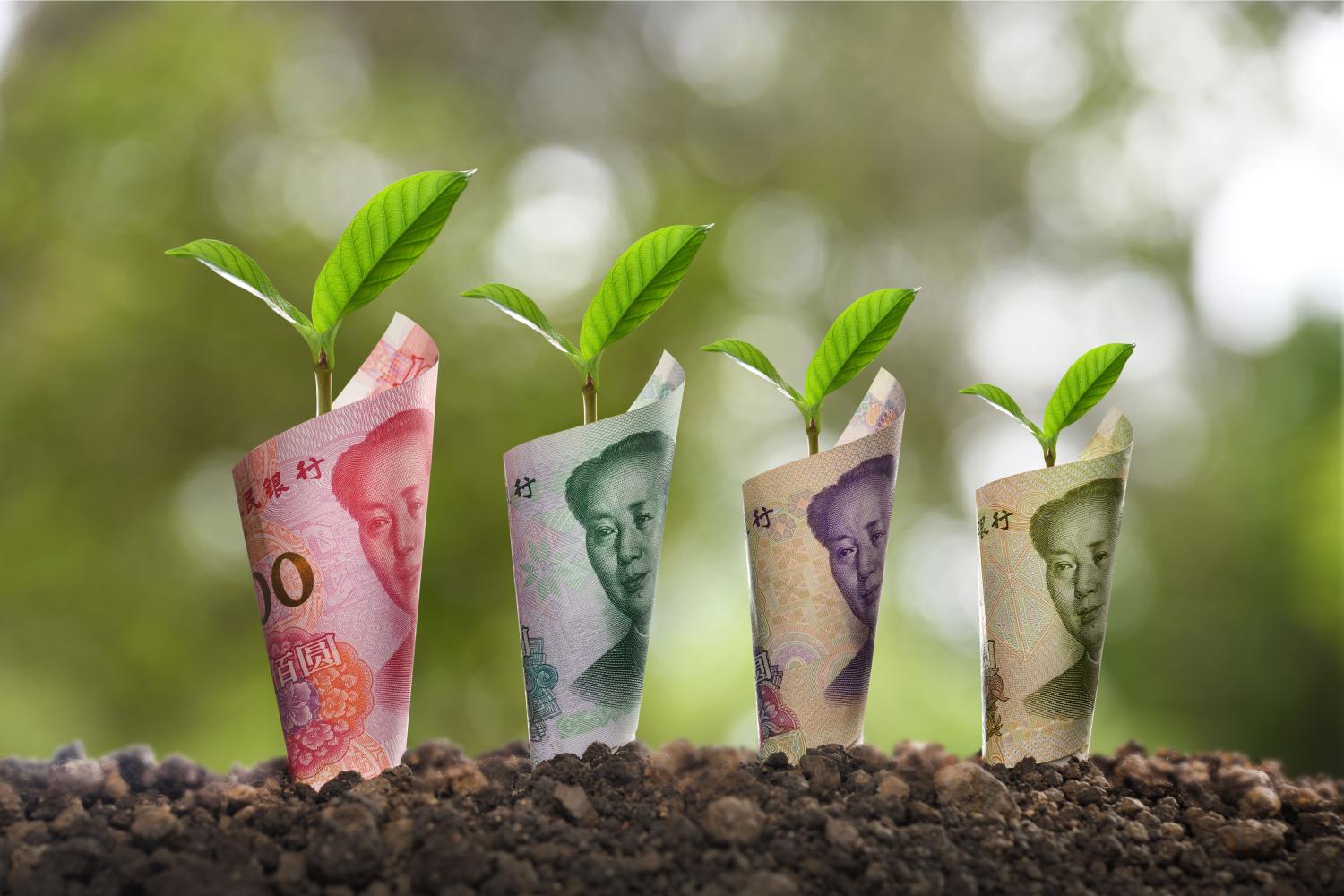 Chinese bank notes rolled around plants