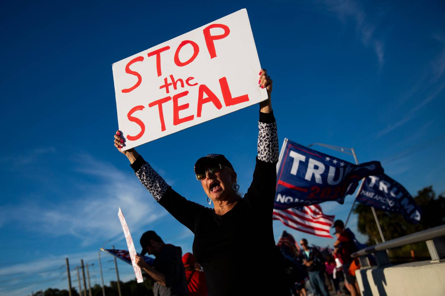 A protester holds a sign reading "stop the steal" at a pro-Trump protest.