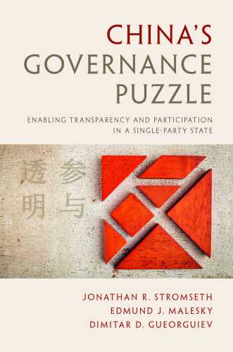 China's Governance Puzzle, book cover