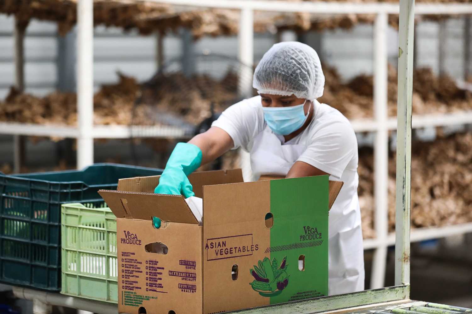 Tegucigalpa, Honduras.- In the photos taken on January 15, 2021, people work at a food plant in Tegucigalpa. Honduras received 323.5 million dollars of Foreign Direct Investment (FDI) during the third quarter of 2020, 75.9% higher than the same period of 2019, according to the Central Bank (BCH).
