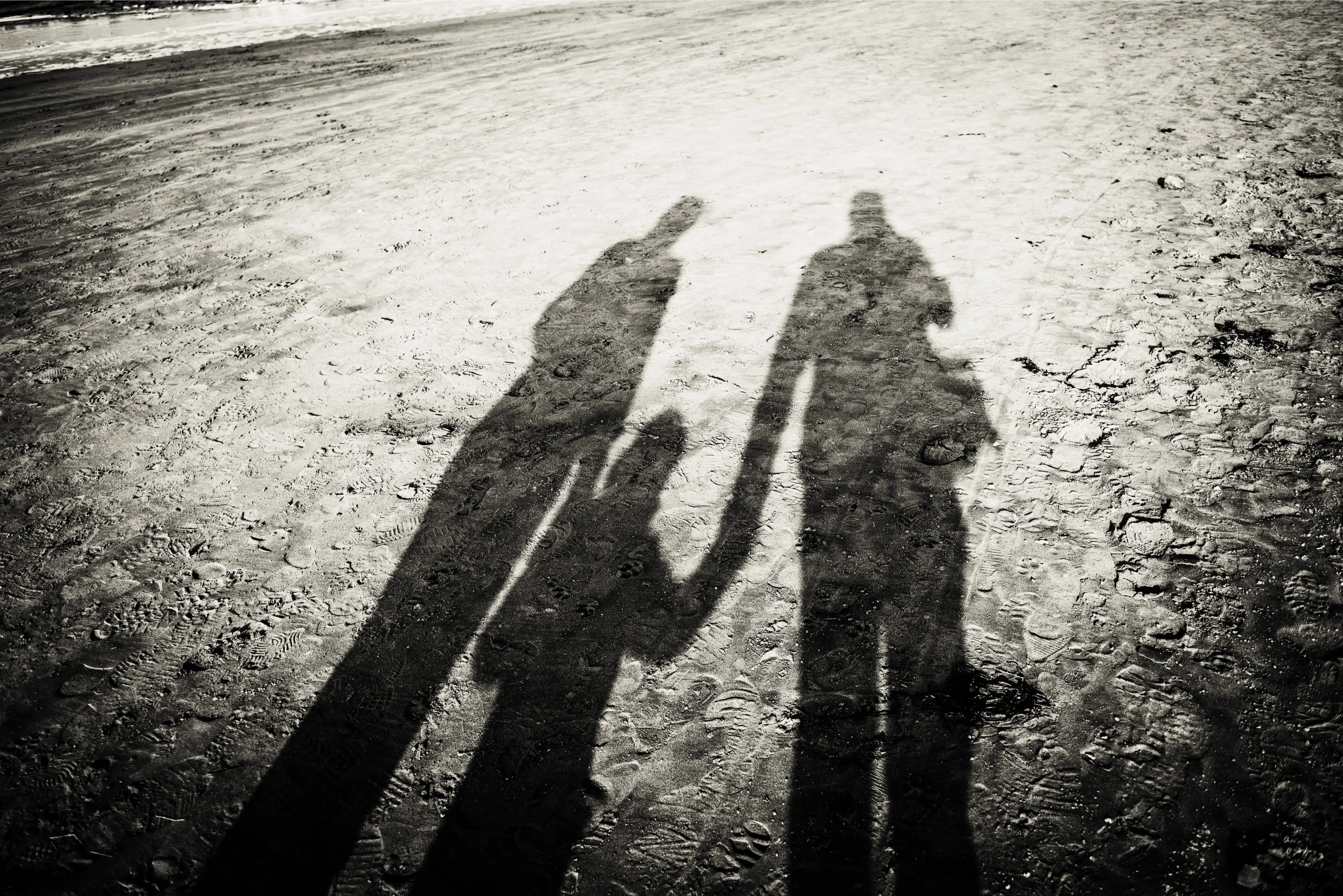 Shadows of family
