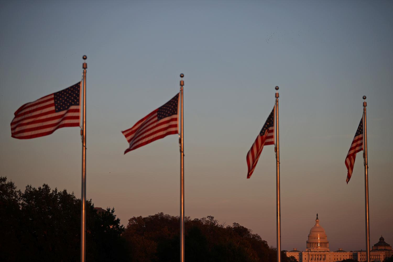 The United States Capitol is pictured among U.S. flags during sunset in Washington, U.S. October 22, 2020.  REUTERS/Hannah McKay