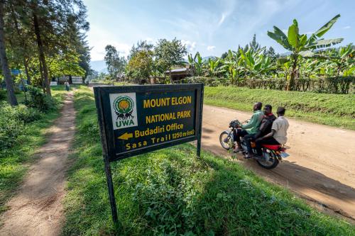 Mount Elgon, Uganda, Africa - February 15, 2020: Guides and porters assist tourists climbing Mount Elgon, a tourist attraction for hikers, climbers and bird watchers visiting East Africa.