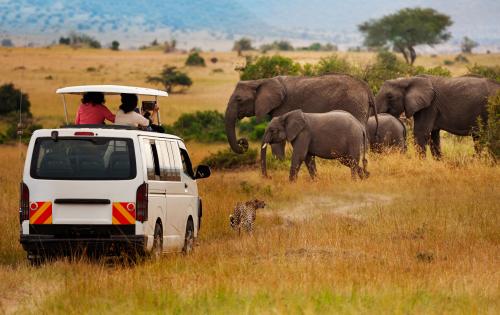 Tourists on game drive taking picture of elephants