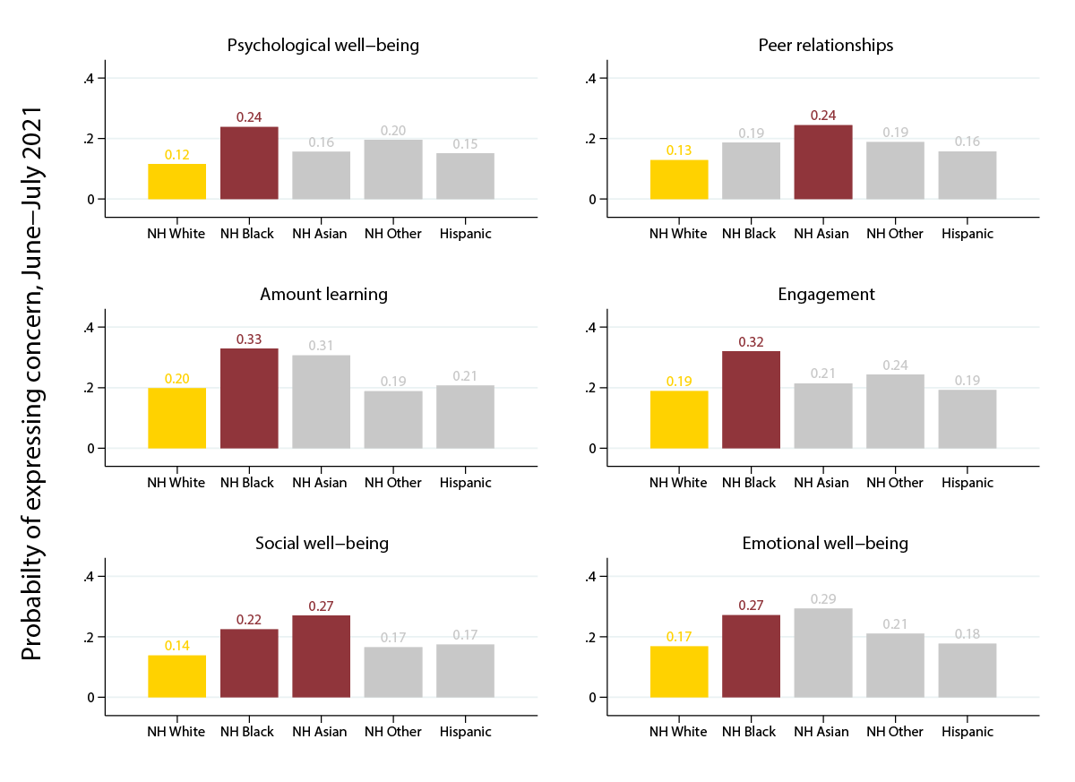 Asian-American and Black parents expressed higher levels of concern than white parents
