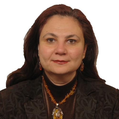 Amal Nagah Elbeshbishi