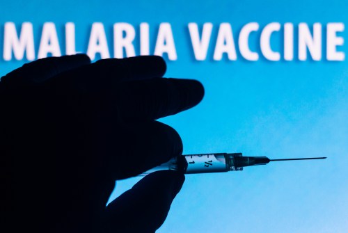 In this photo illustration the medical syringe seen with the inscription malaria vaccine displayed on a screen in the background. (Photo by Rafael Henrique / SOPA Images/Sipa USA)No Use Germany.
