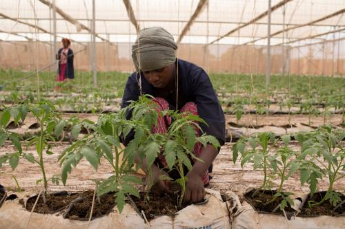 Fone Coulibaly ties up tomato plants in one of Amadou Sidibe's greenhouses in Katibougou, Mali, February 12, 2020. Picture taken February 12, 2020. REUTERS/Annie Risemberg