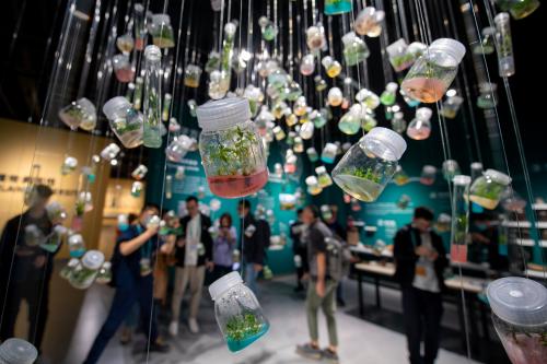 View of the seeds presented at the Fuligong Biodiversity Experience Park in Kunming city, southwest China's Yunnan province, 13 October 2021.No Use China. No Use France.